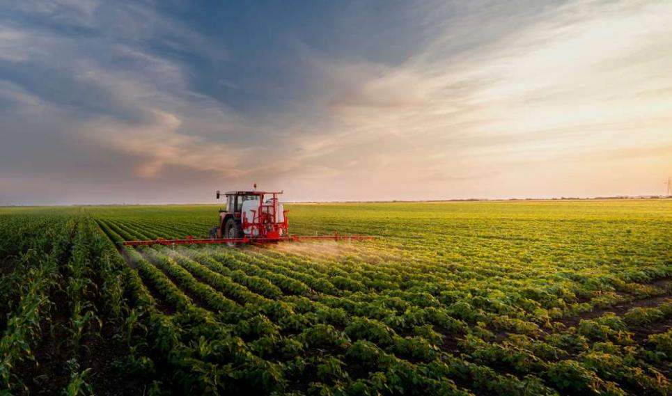 Primavera do Leste é a principal potência agrícola do Brasil Primavera Net Primavera do Leste é a principal potência agrícola do Brasil Primavera Net